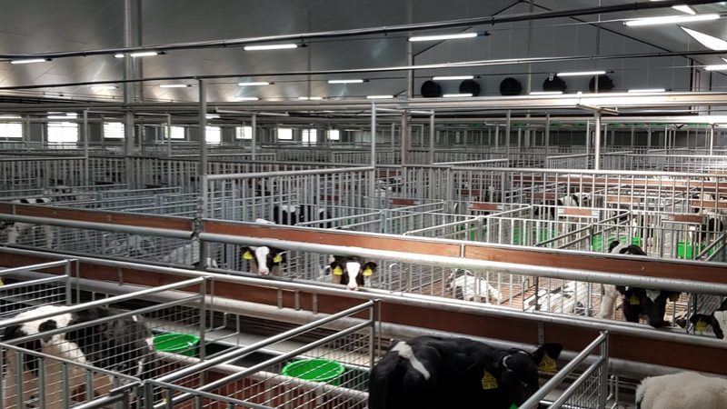 天猫代运营团队，如何搭建高效协作的战斗单元？**